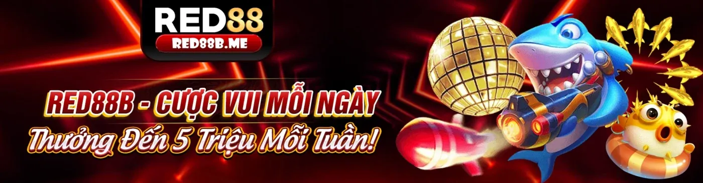 Cá cược thể thao tại no hu club
